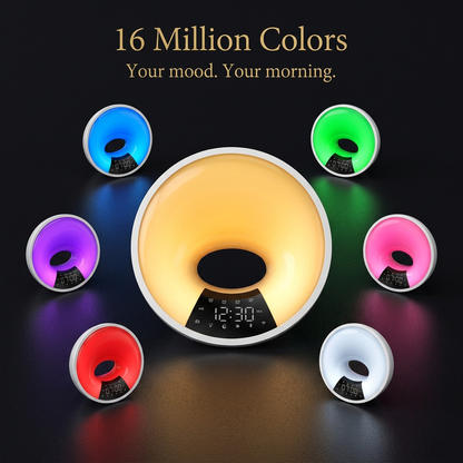 Color Showcase Premium